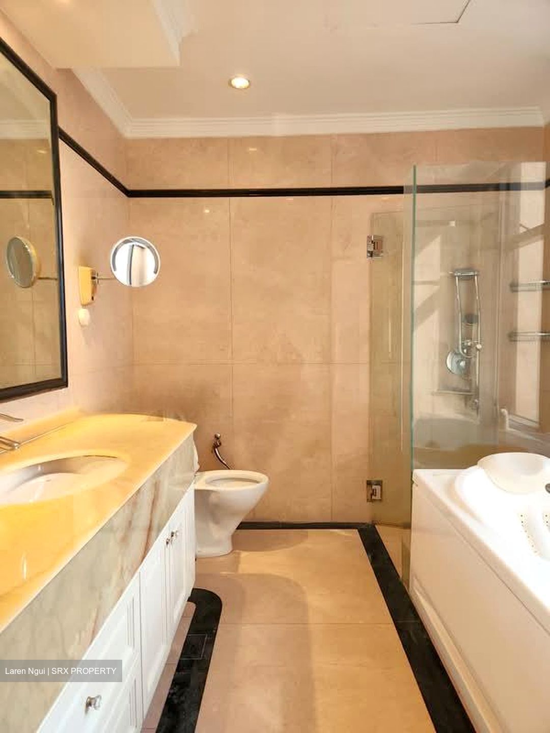Four Seasons Park (D10), Condominium #589265291